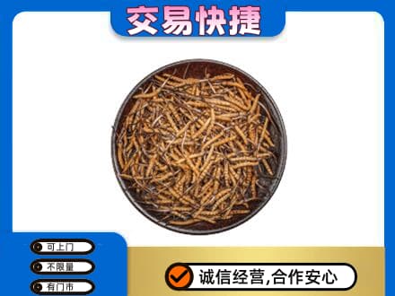 庆阳市西峰高价回收散虫草